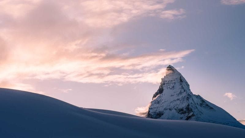 Portfolio actif — success stories